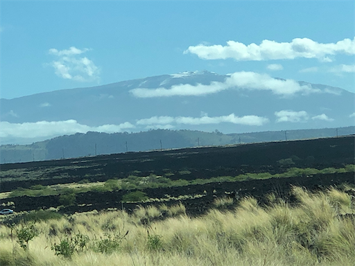 f:id:Hawaii_raoukona:20200217120842p:image