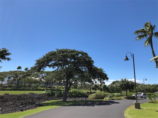 f:id:Hawaii_raoukona:20200220085433j:image