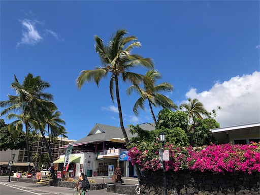 f:id:Hawaii_raoukona:20200508092844j:image