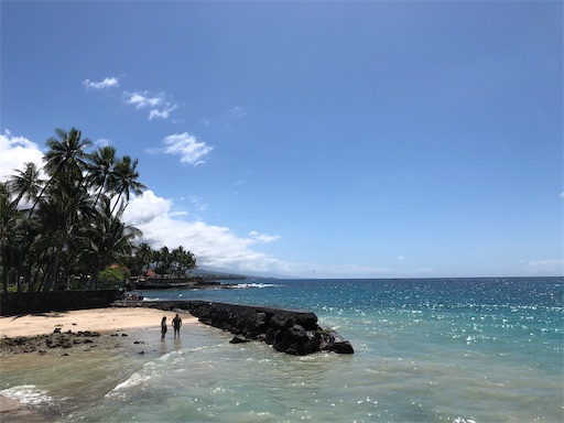 f:id:Hawaii_raoukona:20200508093156j:image