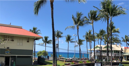 f:id:Hawaii_raoukona:20200524180621j:image f:id:Hawaii_raoukona:20200524180621j:image