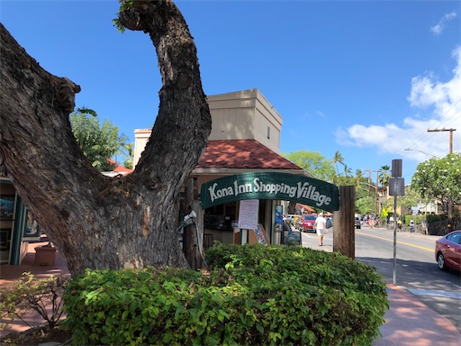 f:id:Hawaii_raoukona:20200524181447j:image f:id:Hawaii_raoukona:20200524181447j:image