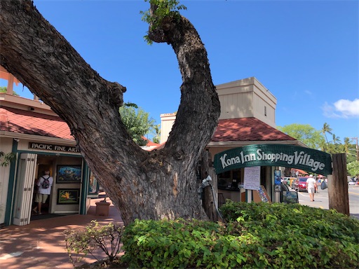 f:id:Hawaii_raoukona:20200525120620j:image f:id:Hawaii_raoukona:20200525120620j:image