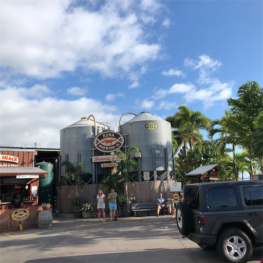 f:id:Hawaii_raoukona:20200530222020j:image