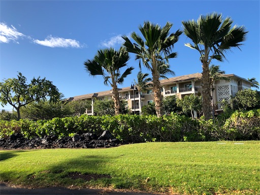 f:id:Hawaii_raoukona:20200610210737j:image