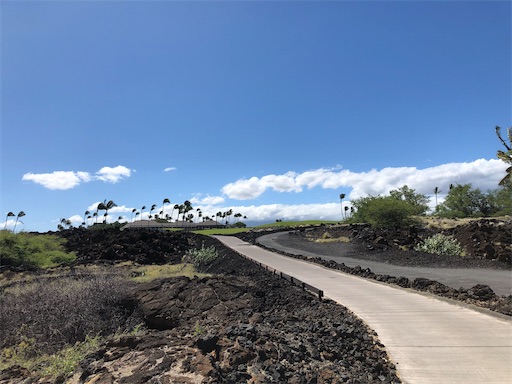 f:id:Hawaii_raoukona:20200903092824j:image