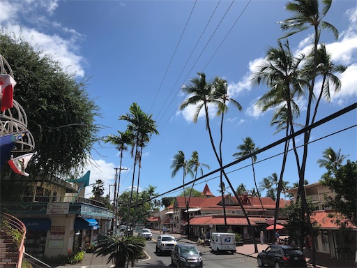 f:id:Hawaii_raoukona:20200925201918j:image f:id:Hawaii_raoukona:20200925201918j:image
