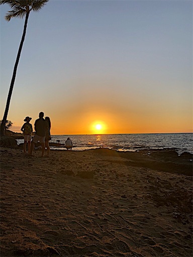 f:id:Hawaii_raoukona:20201014115212j:image