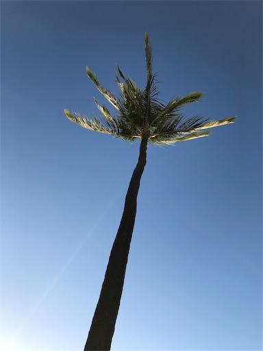 f:id:Hawaii_raoukona:20201016171810j:image