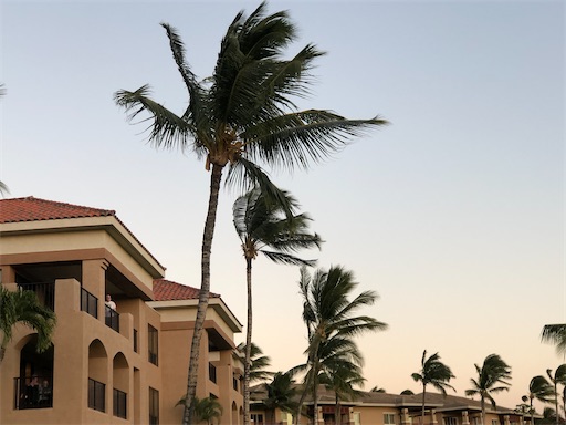 f:id:Hawaii_raoukona:20201016173747j:image