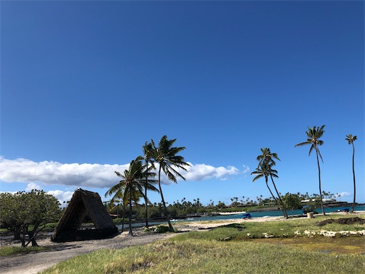 f:id:Hawaii_raoukona:20201016180201j:image
