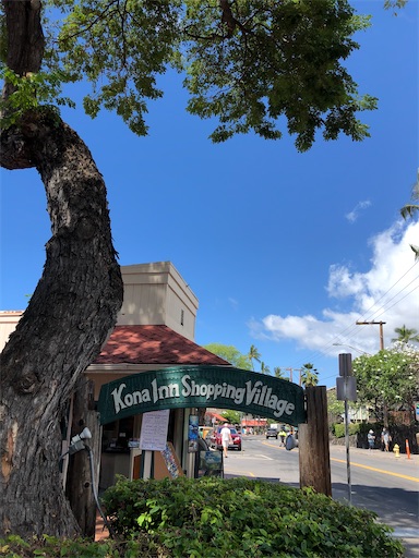 f:id:Hawaii_raoukona:20201030171615j:image