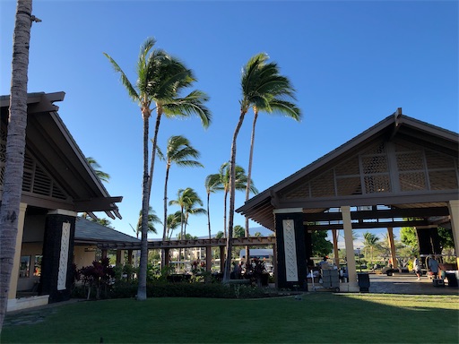 f:id:Hawaii_raoukona:20201106100738j:image f:id:Hawaii_raoukona:20201106100738j:image