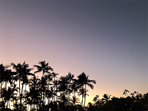 f:id:Hawaii_raoukona:20201111120848j:image