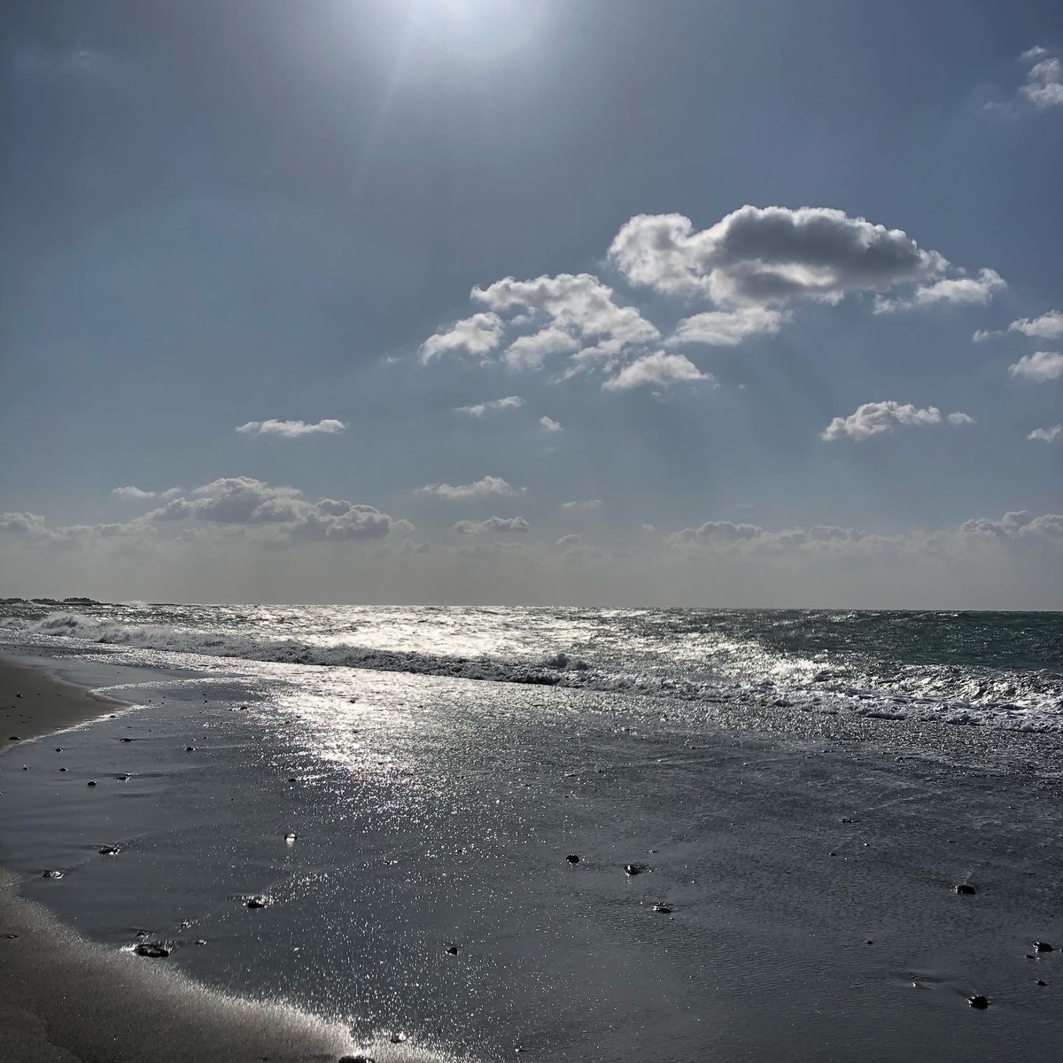 f:id:Hawaiwaiwai:20200331124959j:plain f:id:Hawaiwaiwai:20200331124959j:plain