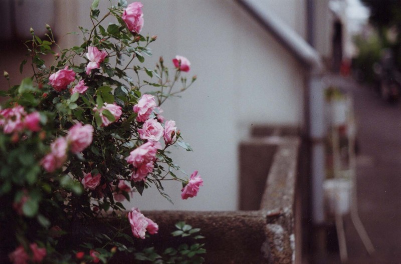 f:id:Hawelka:20080724043741j:image