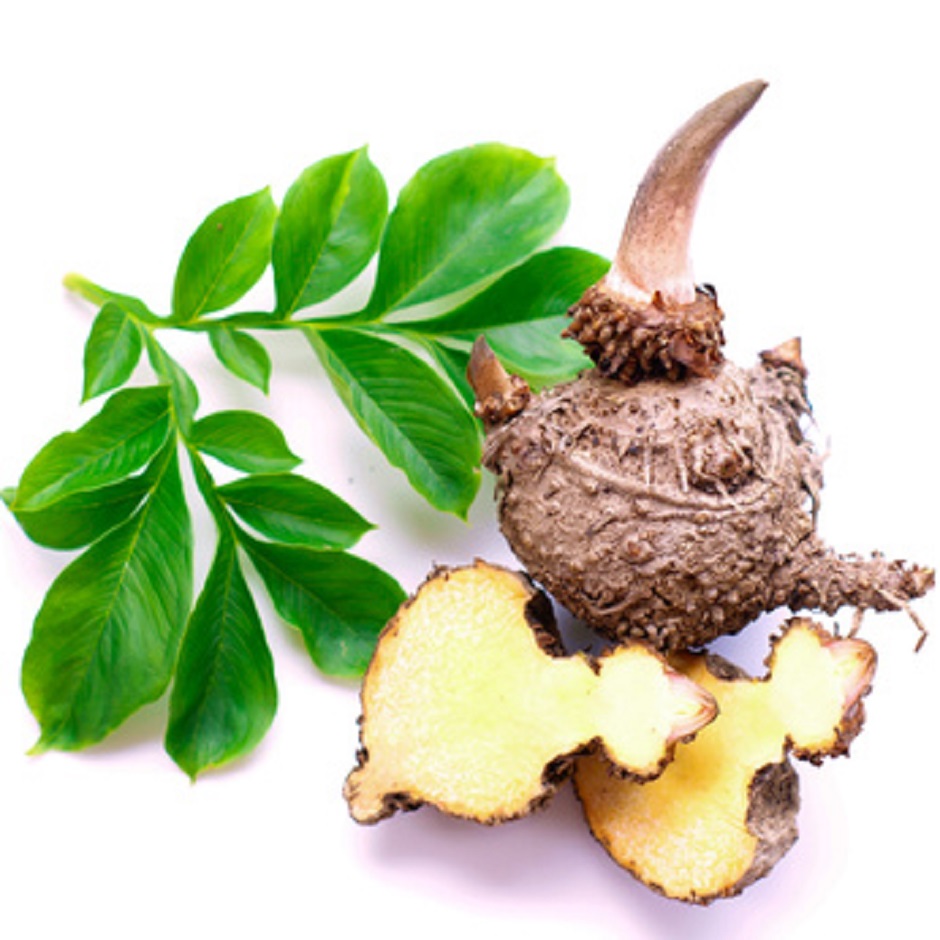 f:id:HealthMagReviews:20161219192945j:plain
