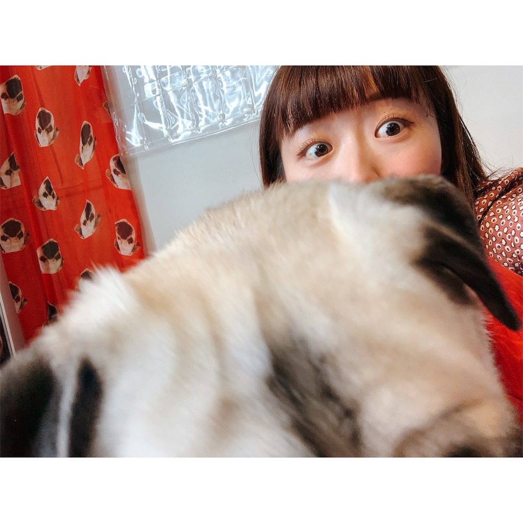 f:id:Heartace:20190331204819j:image f:id:Heartace:20190331204819j:image