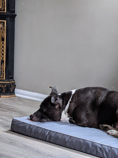 f:id:Heave:20210619185645j:image