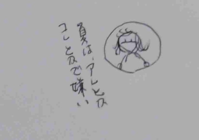 f:id:Heave:20240805000632j:image