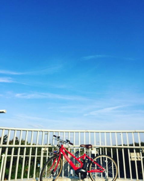 f:id:Heinekencycle:20170507094434j:plain f:id:Heinekencycle:20170507094434j:plain