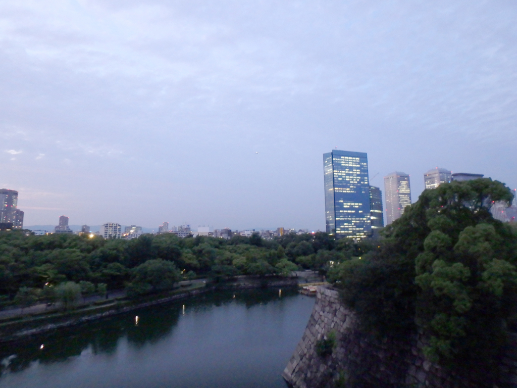 f:id:Helichrysum:20170628141053j:plain