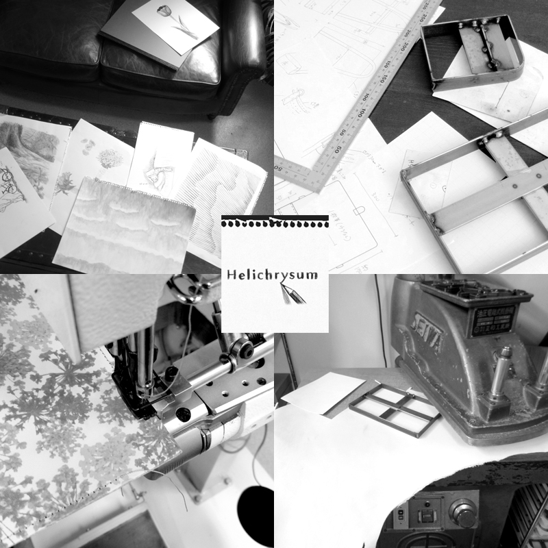 f:id:Helichrysum:20180422195358j:plain