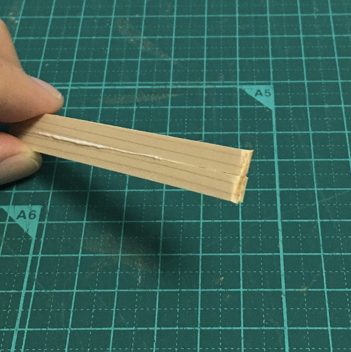 f:id:Hemus:20201206215936j:plain