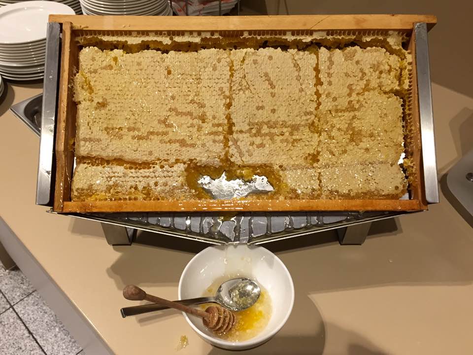 f:id:HerissonEntertainment:20171217015214j:plain f:id:HerissonEntertainment:20171217015214j:plain