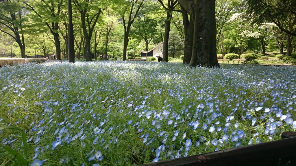 日比谷公園の花壇