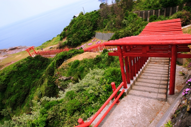 比較的新しいが、絶景に建てられた元乃隅稲成神社