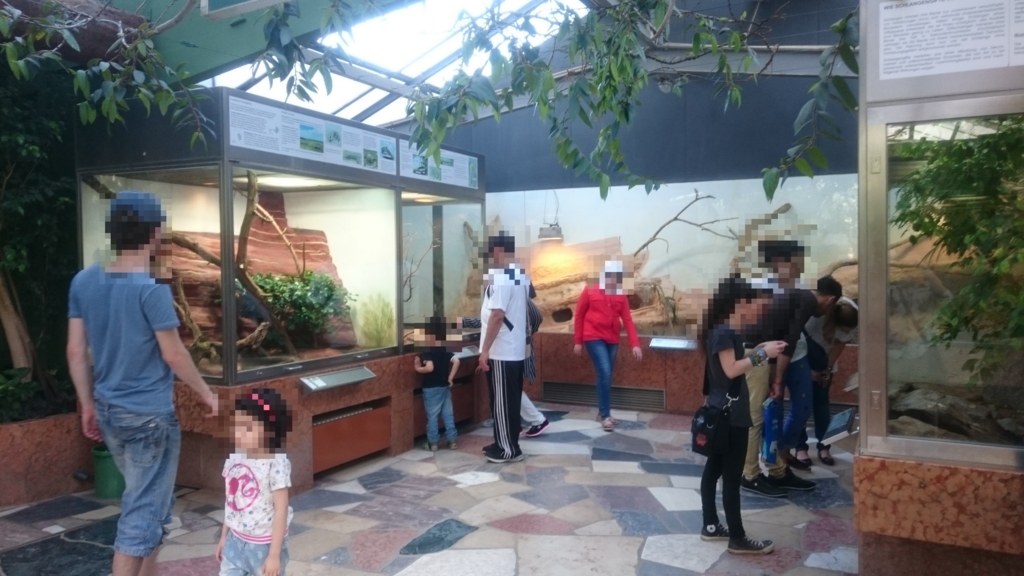 熱帯地方の虫や爬虫類が展示されている施設