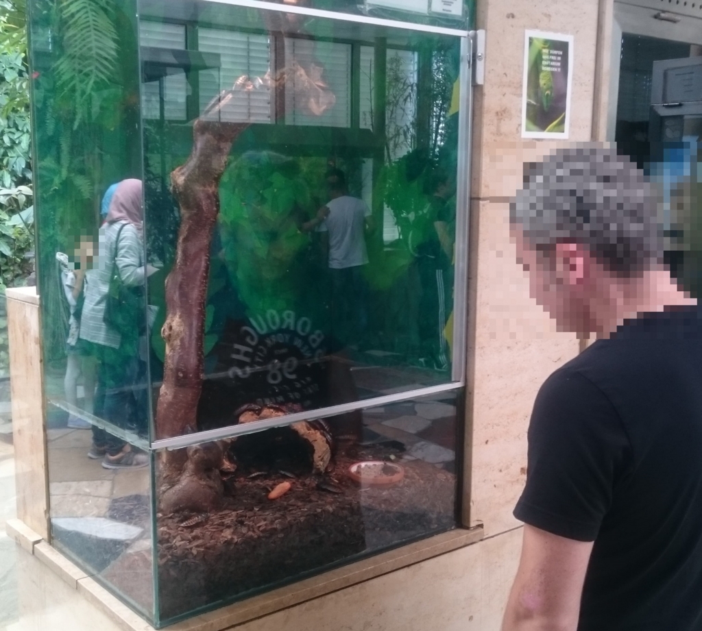 通りすがりに眺める男性