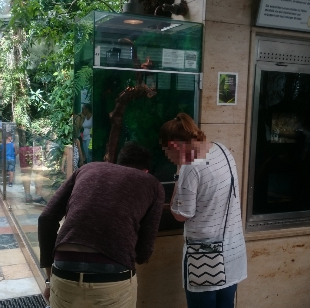 腰をかがめてまで観察するカップル