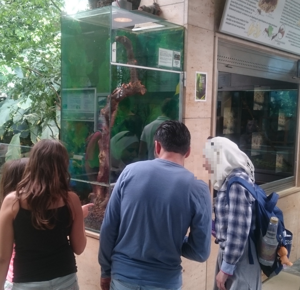 アラブ系の人にとっても興味深い?