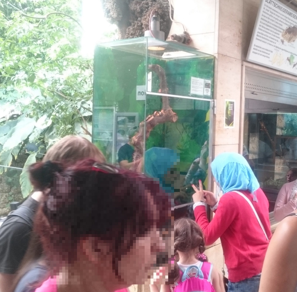 写真をとって後でもう一度見返すの?