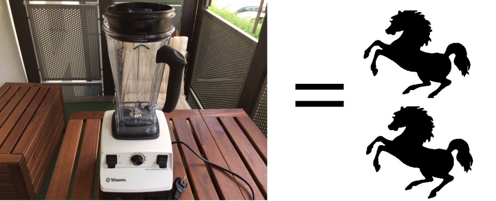 新しいスムージーメーカー