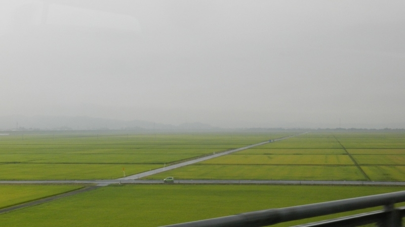 f:id:Hesitant_moon:20201227224144j:plain