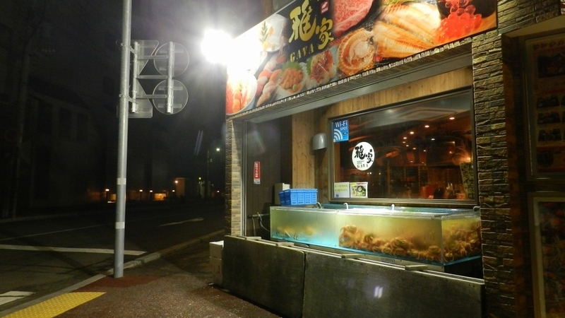 f:id:Hesitant_moon:20201227224614j:plain