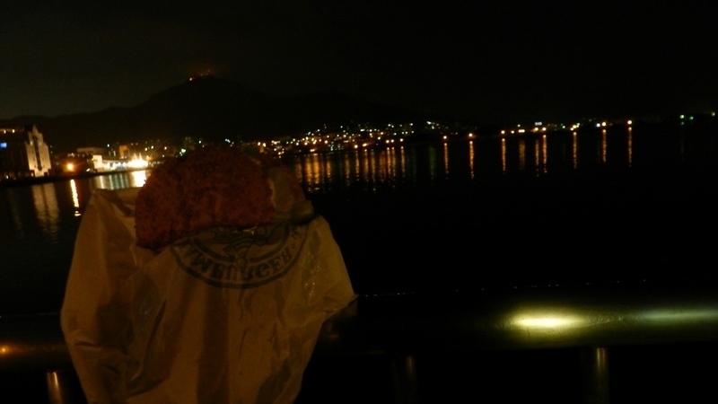 f:id:Hesitant_moon:20201227224621j:plain