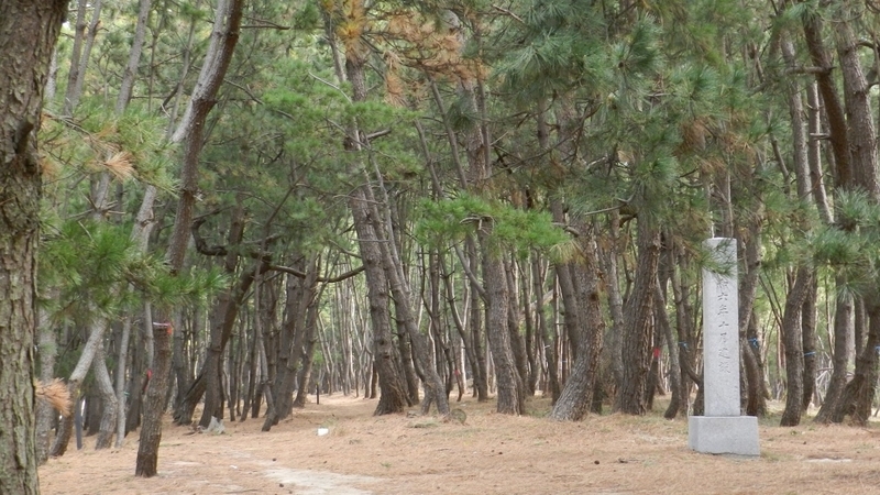 f:id:Hesitant_moon:20210430110330j:plain