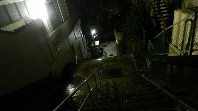 f:id:Hesitant_moon:20220218234528j:plain
