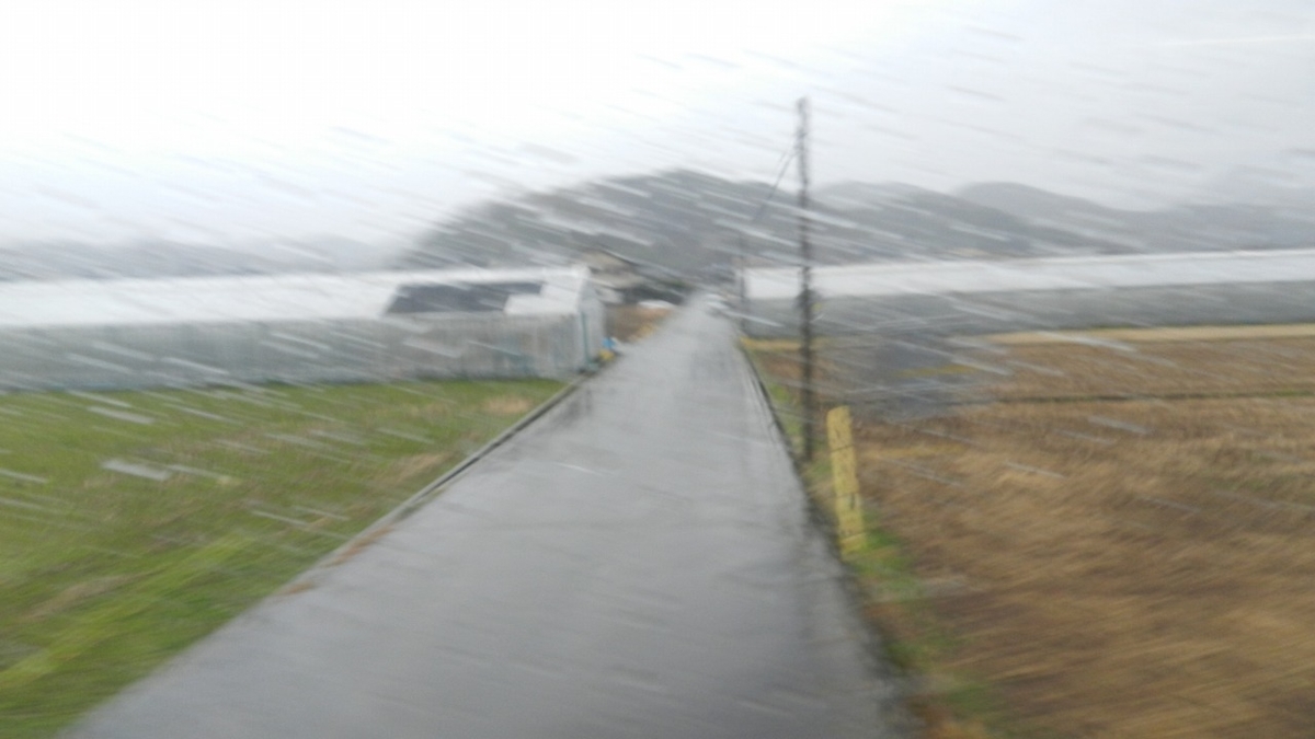 f:id:Hesitant_moon:20220221212248j:plain