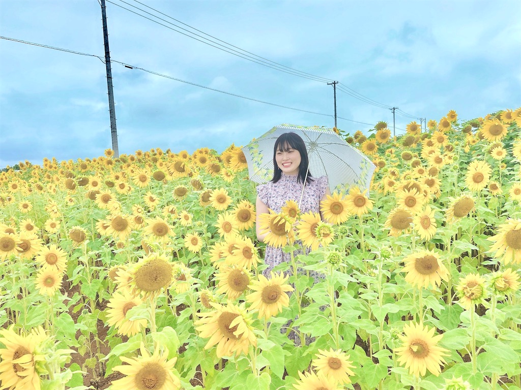 f:id:HgszkK:20210527211109j:image