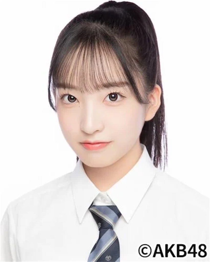 f:id:HgszkK:20241217131738j:image