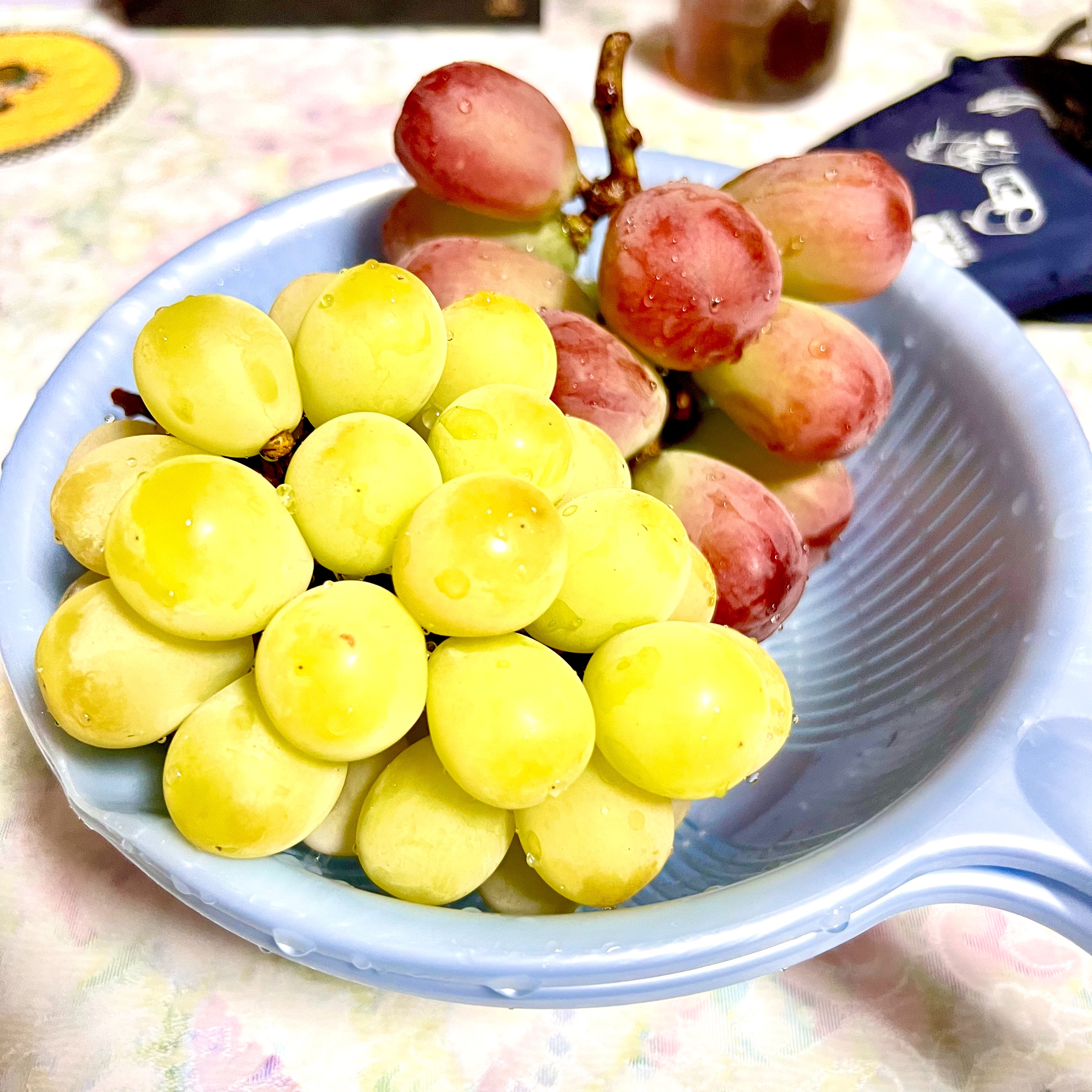 f:id:HiNo:20220923222446j:image f:id:HiNo:20220923222446j:image