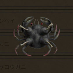 ガラージュ完全版 蟹図鑑 ジャコウガニ ガラージュ完全版 治療の手引 ガラージュ完全版 蟹図鑑 ジャコウガニ ガラージュ完全版 治療の手引