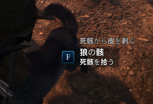 動物の死骸