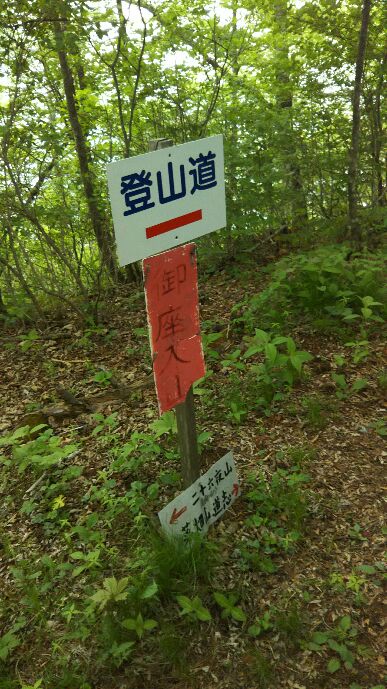 f:id:Hi_nekosan:20170530123539j:plain