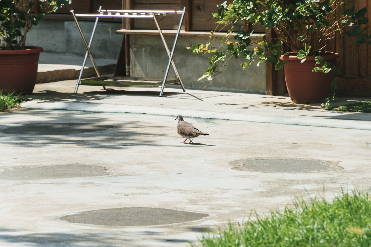 f:id:Hibun-info:20190924165843j:plain